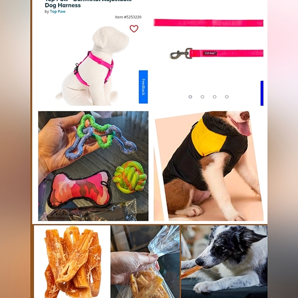 Petsmart Other - Dogs lot Jacket, toys, Harness, Leash.
